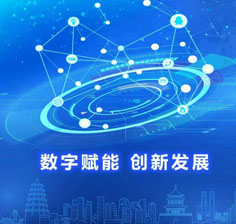 数字发展创新中心